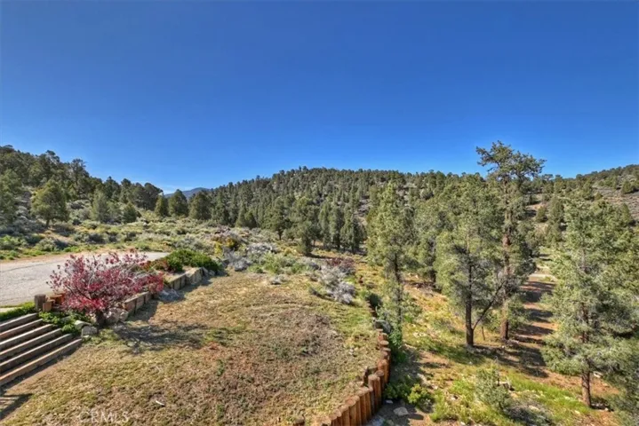 46727 Minnow, Big Bear City, California 92314
