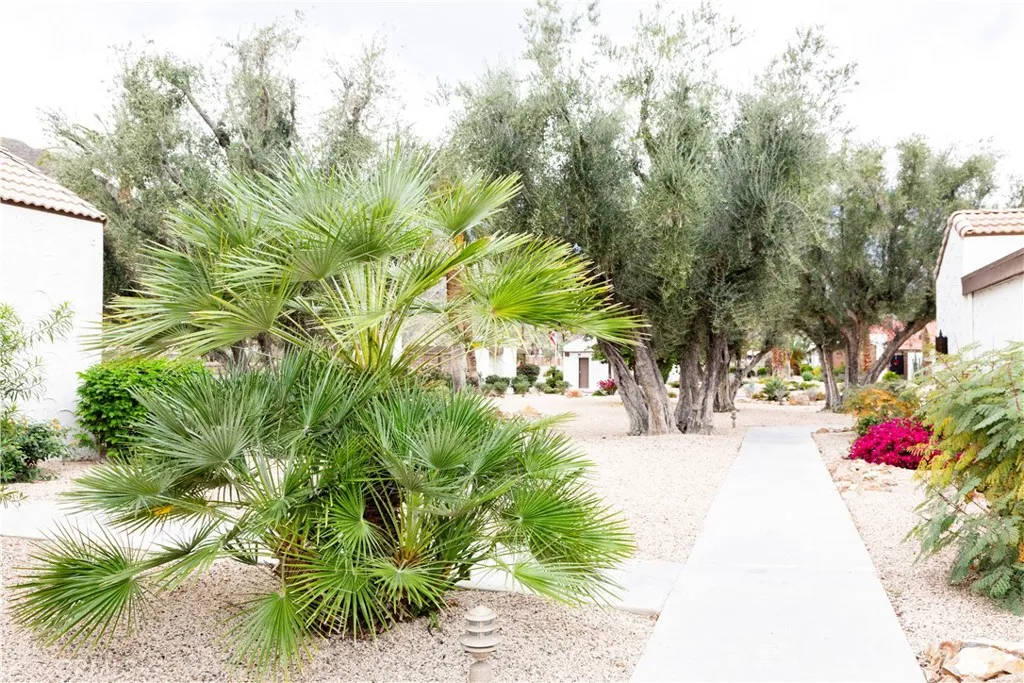 2542 Miramonte E B, Palm Springs, California 92264 home-pic-38