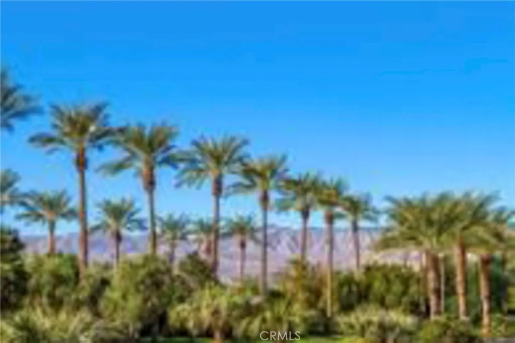 2542 Miramonte E B, Palm Springs, California 92264 home-pic-42