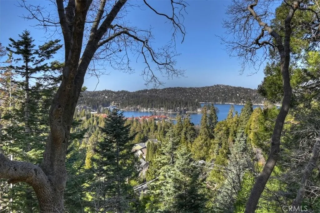 495 Kuffel Canyon, Lake Arrowhead, California 92352 home-pic-3