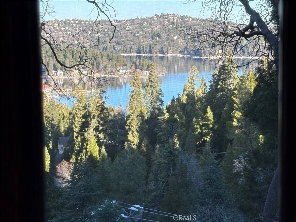 495 Kuffel Canyon, Lake Arrowhead, California 92352 home-pic-38