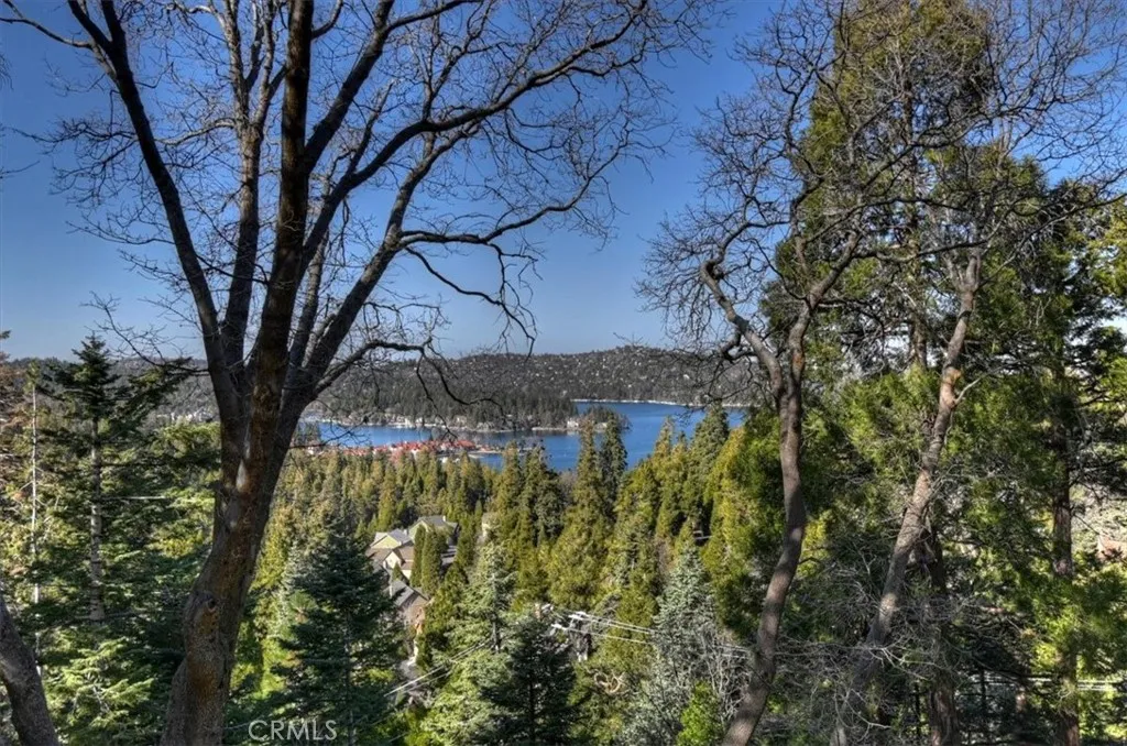 495 Kuffel Canyon, Lake Arrowhead, California 92352 home-pic-8