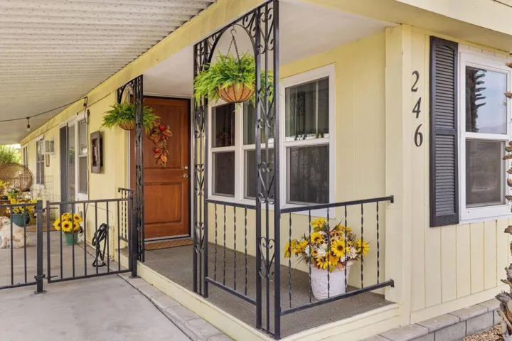 2-web-or-mls-8M4A2237