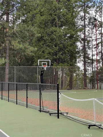 Basketball