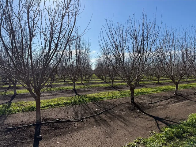14693 Hamilton Nord Cana Highway, Chico, California 95973