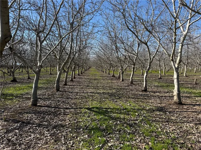 14693 Hamilton Nord Cana Highway, Chico, California 95973