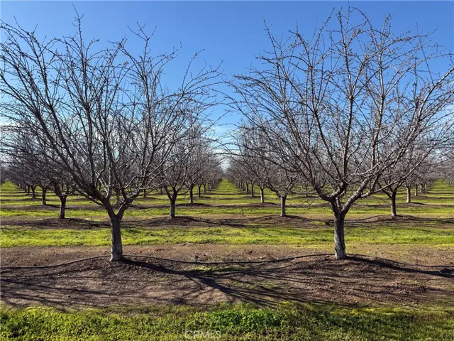 14693 Hamilton Nord Cana Highway, Chico, California 95973