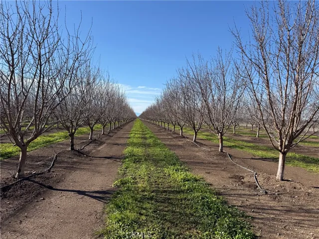 14693 Hamilton Nord Cana Highway, Chico, California 95973