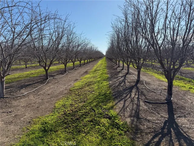 14693 Hamilton Nord Cana Highway, Chico, California 95973