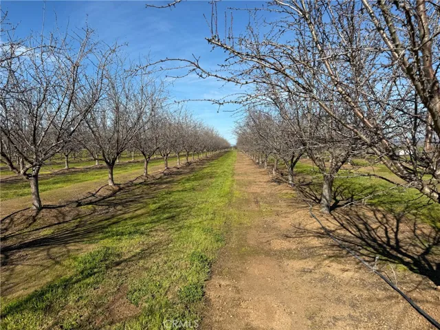 14693 Hamilton Nord Cana Highway, Chico, California 95973