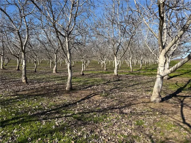 14693 Hamilton Nord Cana Highway, Chico, California 95973