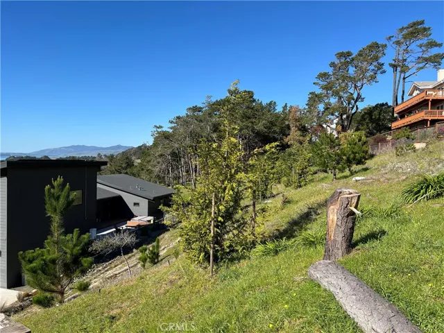 Looking North