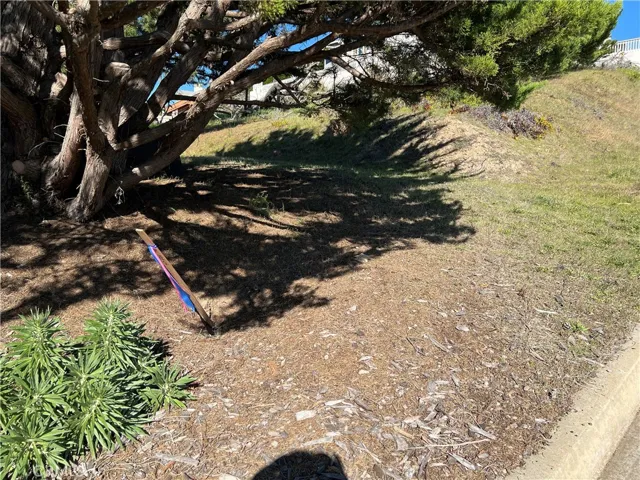 One corner is marked. Lot was surveyed (not by owner). The other 3 corner stakes are missing.