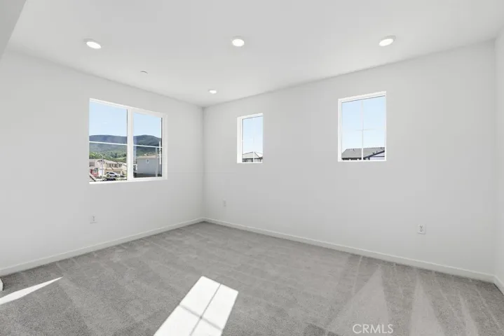 33238 Damask ~ Ready Now