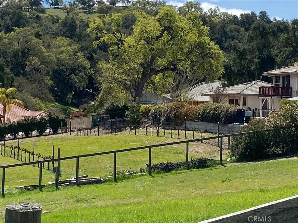 North view