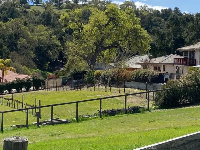 North view