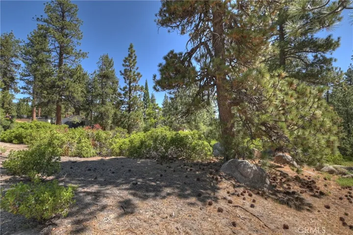 38606 Talbot, Big Bear Lake, California 92315