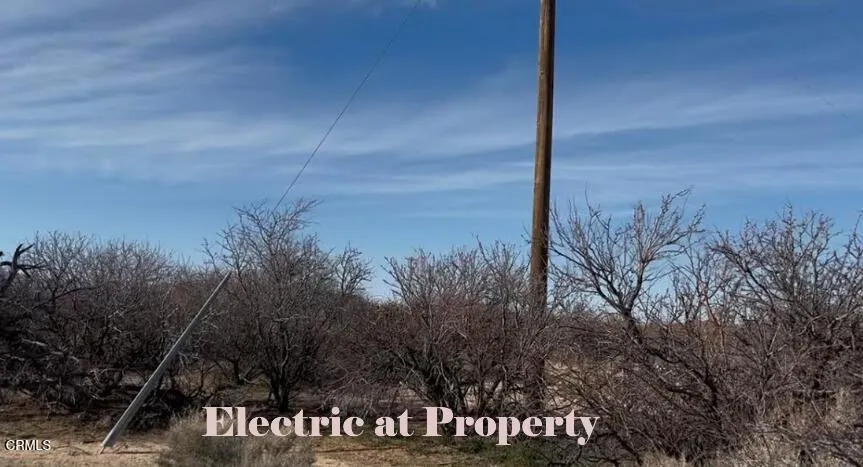 Electriic Pole for Property