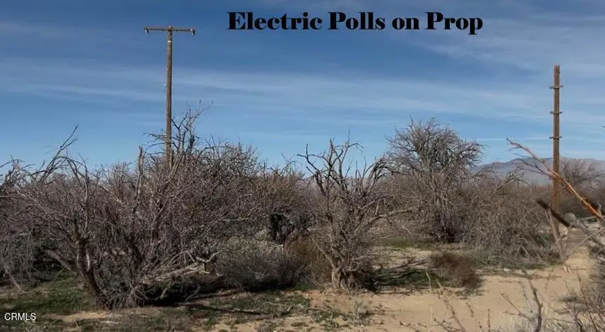Back of Mobile Home showing Electric Pol