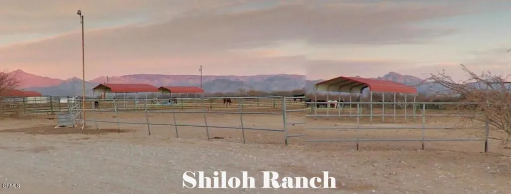 Shilo Ranch Stables 2