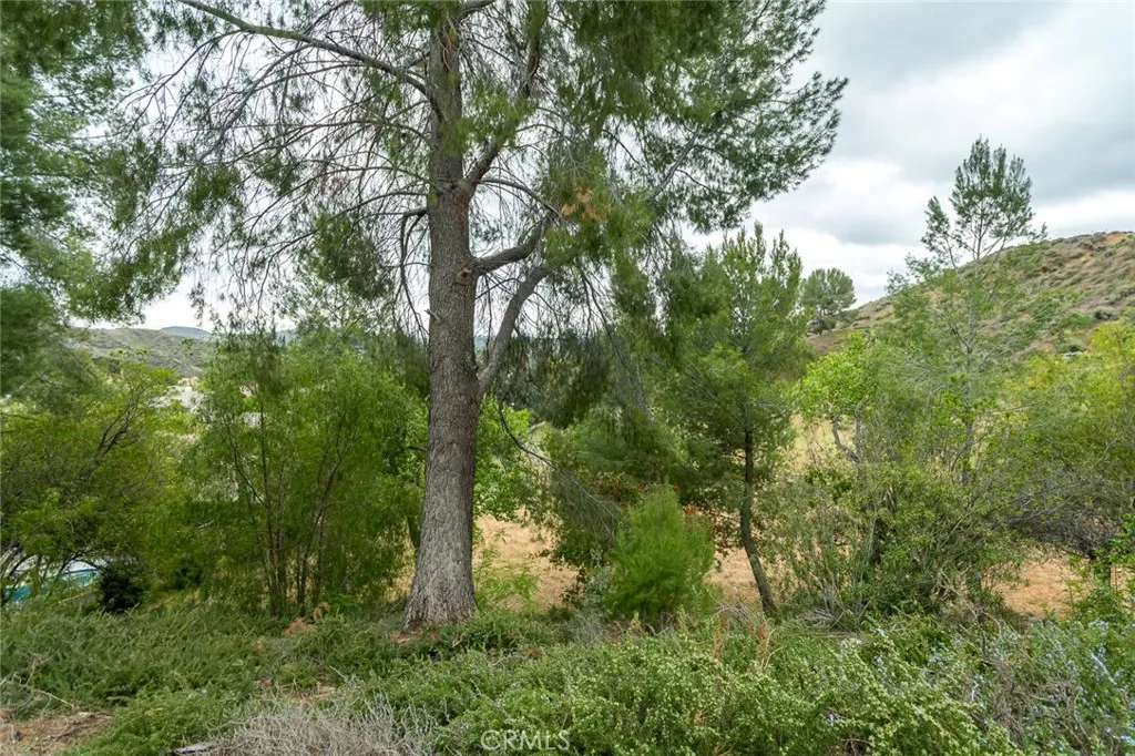 21714 Agajanian, Saugus, California 91350 home-pic-11