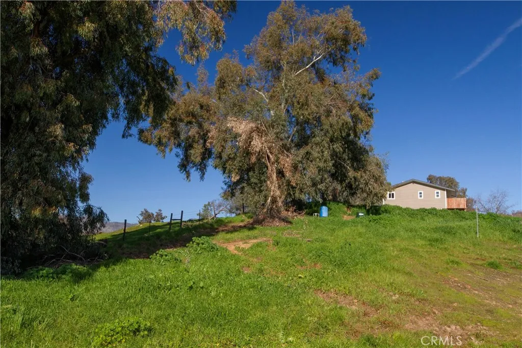 33379 George Smith, Squaw Valley, California 93675 home-pic-46