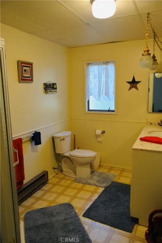 lower level bathroom