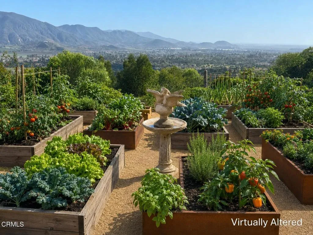 Raised Vegetable Beds