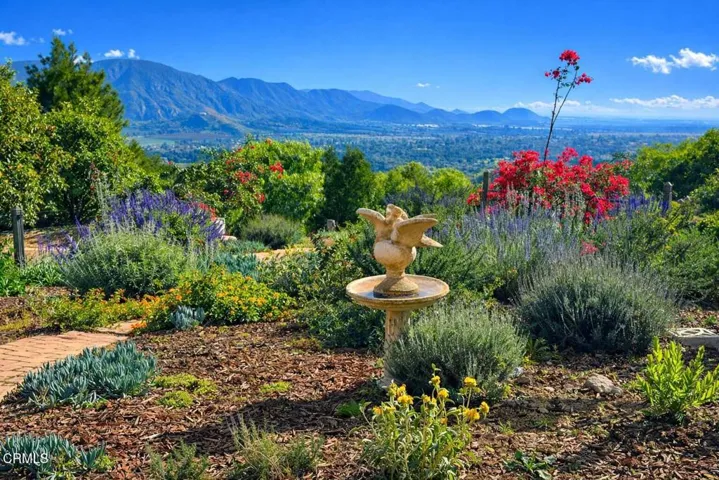 Vibrant garden with mountain views (1)