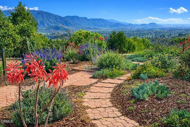 Serene garden with mountain view