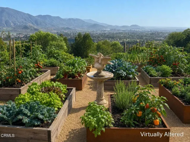 Raised Vegetable Beds