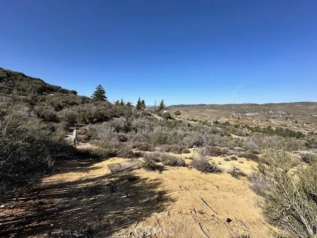 Flatter area at the front of the property.