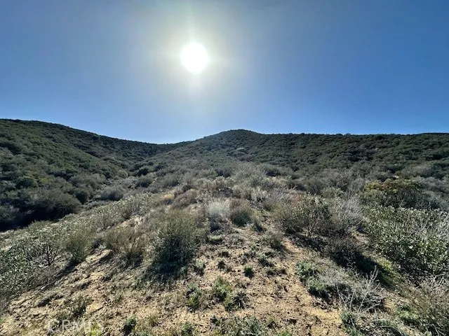 Natural vegetation covers property.