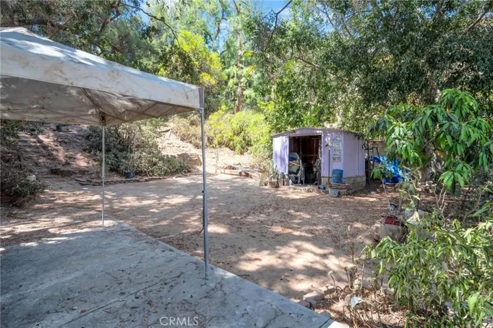 Backyard/Shed