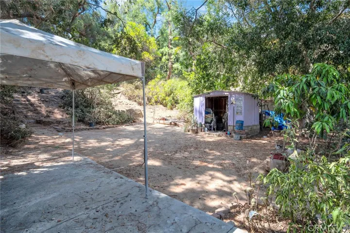 Backyard/Shed