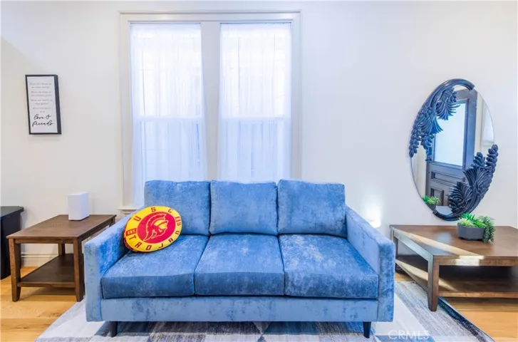 Couch and window covering