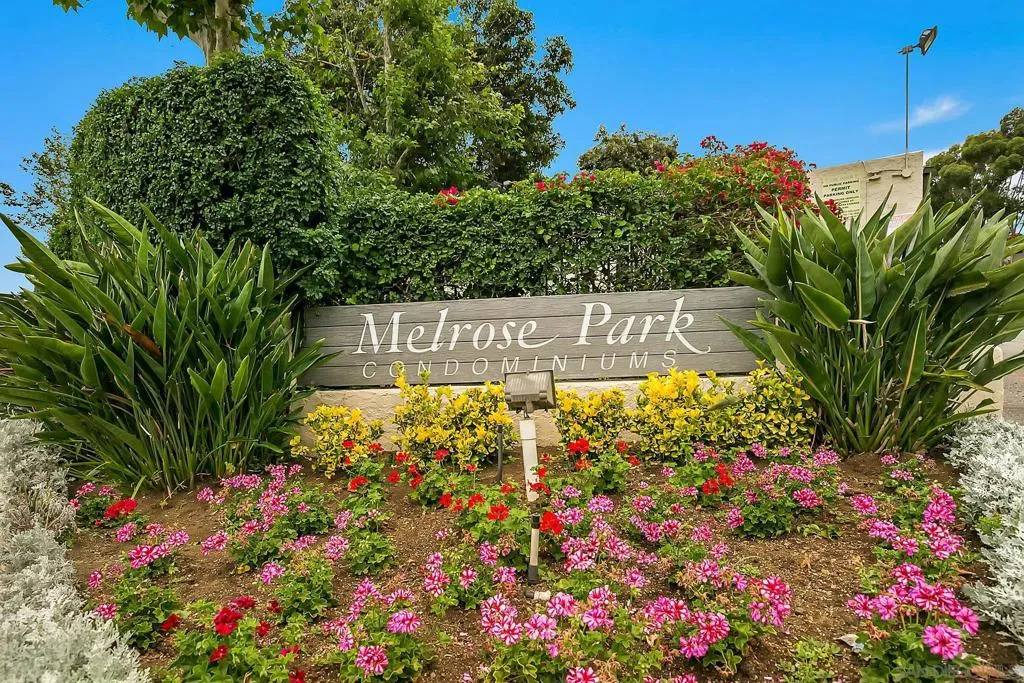 317 N Melrose Dr G, Vista, California 92083 home-pic-25
