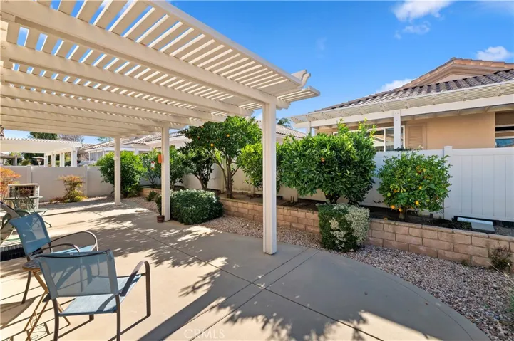 Covered Patio & Fruit Trees