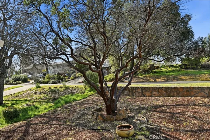 Handcrafted retaining walls visible from living area and front porch.
