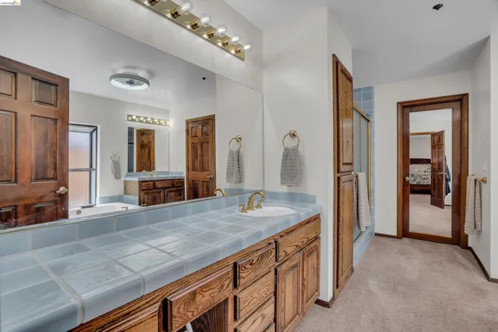 Ensuite bathroom featuring vanity, light colored carpet, a stall shower, and a bath