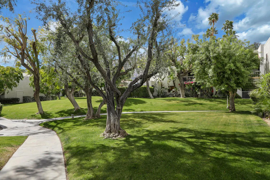 2023 N Via Miraleste Unit  home-pic-29