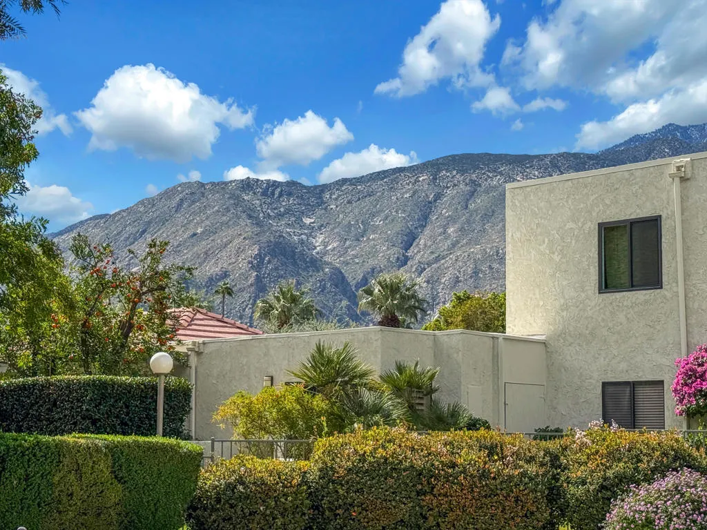 2023 N Via Miraleste Unit  home-pic-34