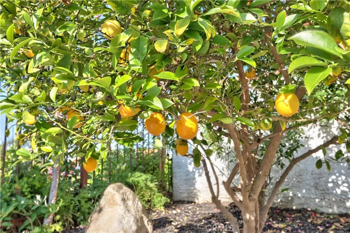 31384 Corte Tunas, Temecula, California 92592