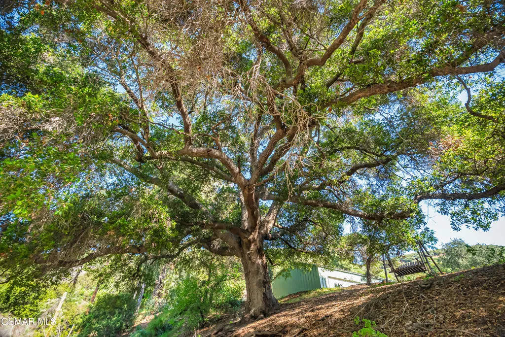 Malibu land-4