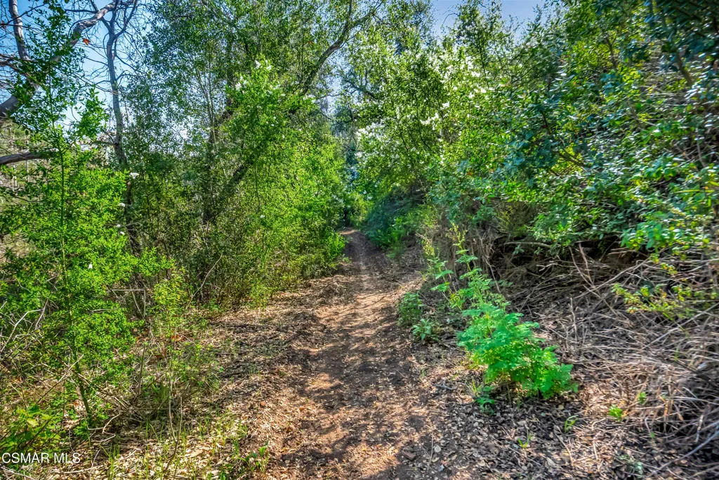Malibu land-55