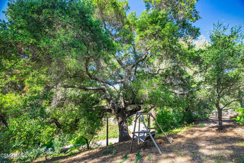 Malibu land-3