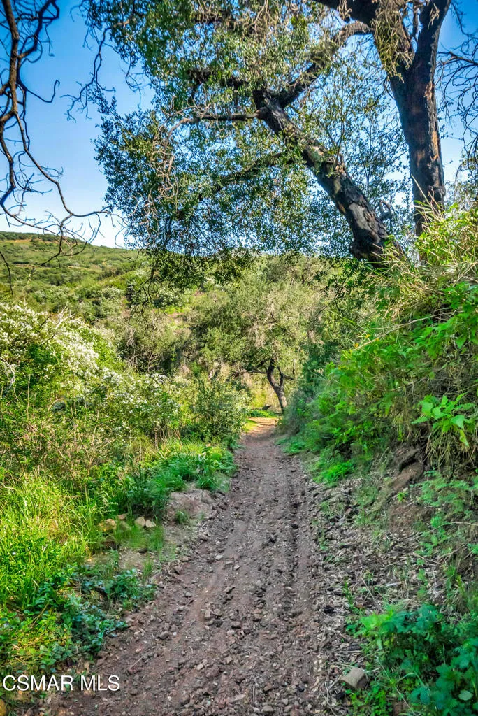 Malibu land-54