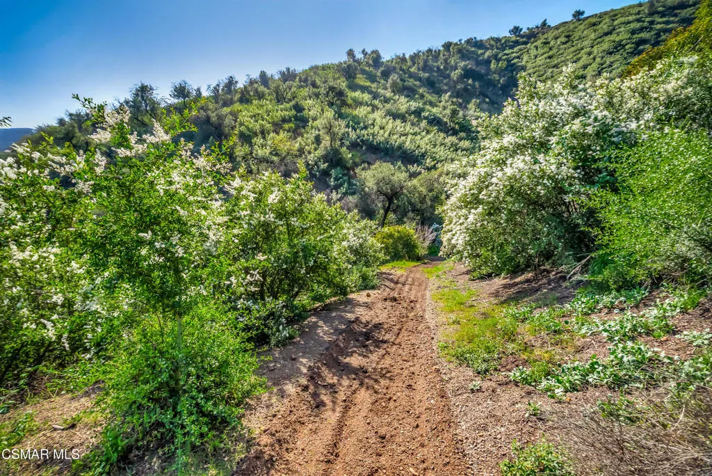 Malibu land-52