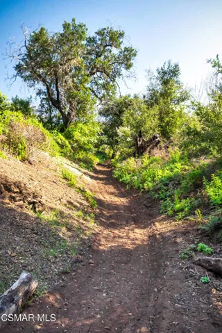 Malibu land-19