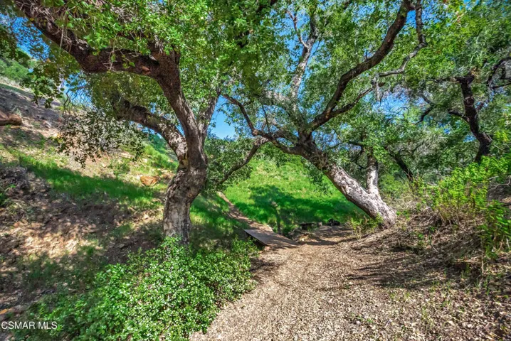 Malibu land-64